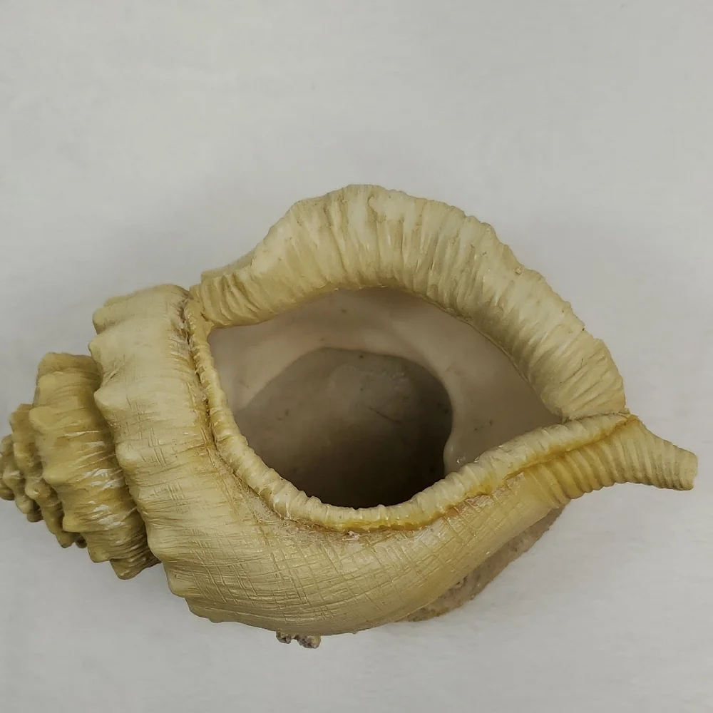 Conch Shell Seashell Planter Beach Ocean Coastal Decor